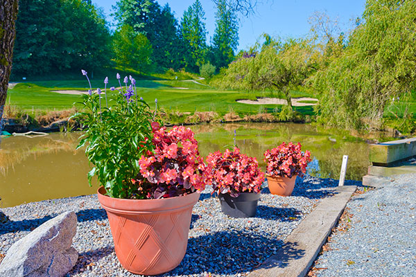 COUNTRY-CLUB-Image