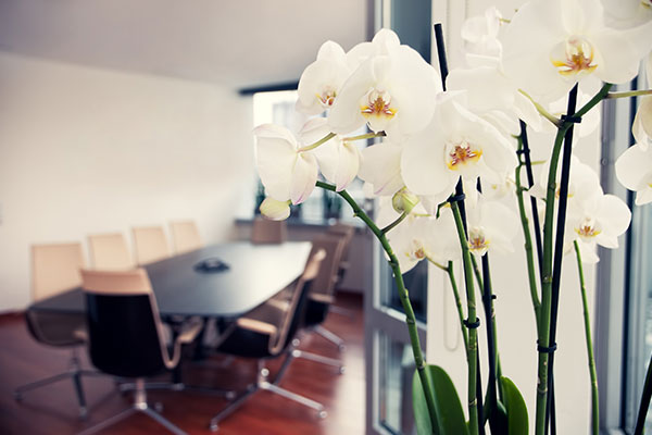 Office-Image